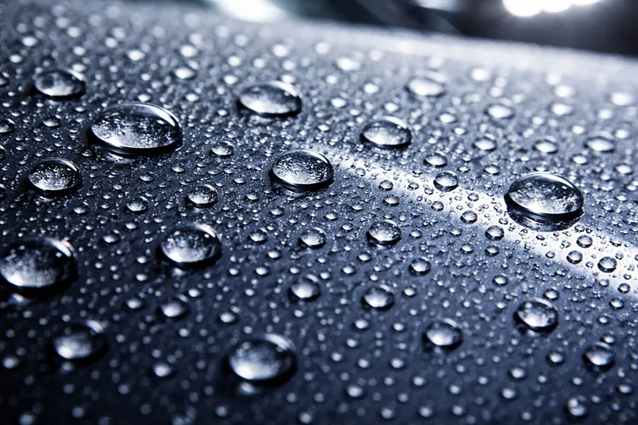 ボディコーティング