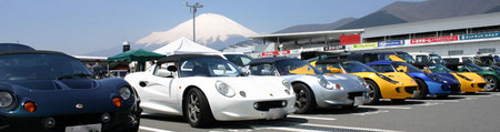 curcuit holiday