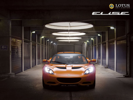 NEW ELISE