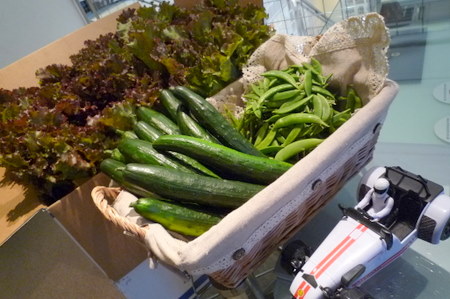 vege.2