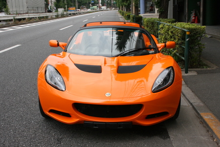 NewELISE