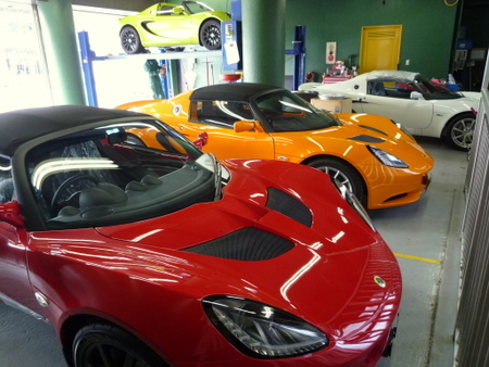 NewELISE
