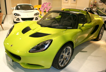 ELISE