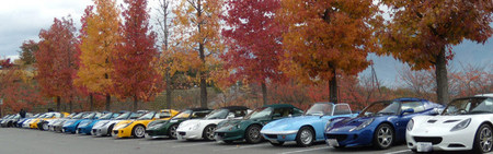 WithamCars