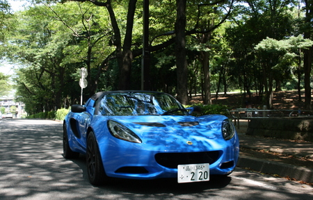 WITHAM　ELISE-S　CR