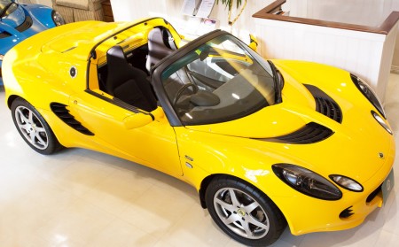 elise-s-2