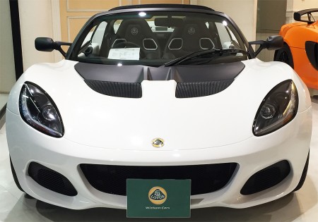 elise-1