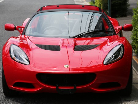 elise-7
