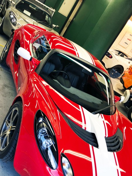 elise-R