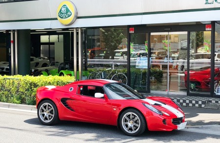 elise-111r