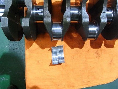 RIMG0776_R RIMG0776_R