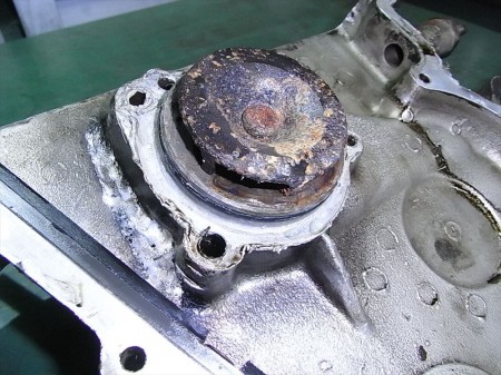 RIMG0813_R RIMG0813_R