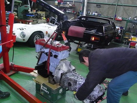 RIMG0995_R RIMG0995_R